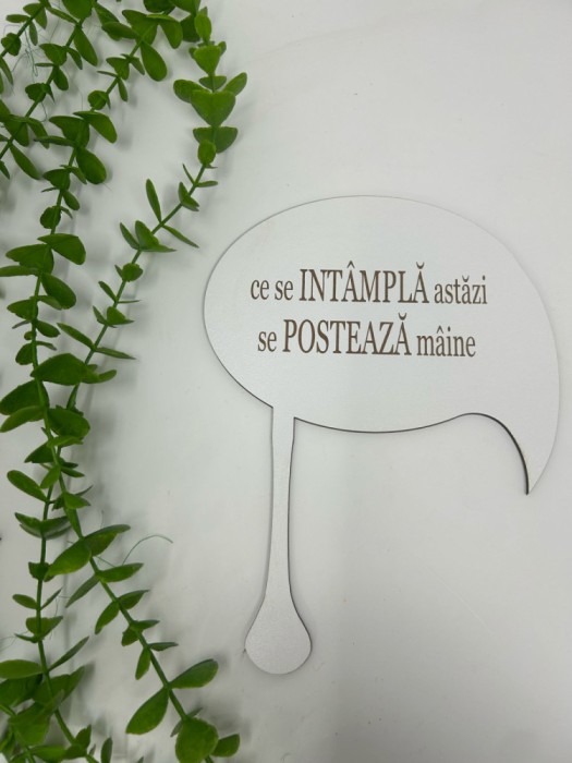 Props cu textul,,ce se intampla astazi se posteaza maine din MDF