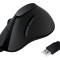 Mouse optic USB negru cu 5 butoane