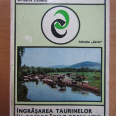 D. Lucescu - Îngrășarea taurinelor în gospodăriile populației