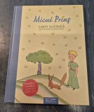 Micul Print carte ilustrata Anna Taube