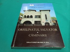 ORFELINATUL SALVATOR * CĂMINARII / GHEORGHE MARINICĂ * 2014 * 1 2 4