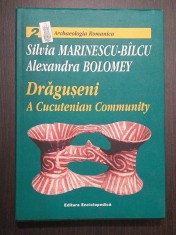 DRAGUSENI - A CUCUTENIAN COMMUNITY - SILVIA MARINESCU BILCU, ALEXANDRA BOLOMEY