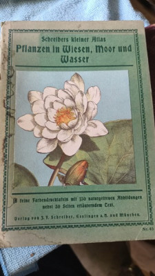 Schreibers Kleiner Atlas , Pflanzen in Wiesen , Moor und Wasser foto