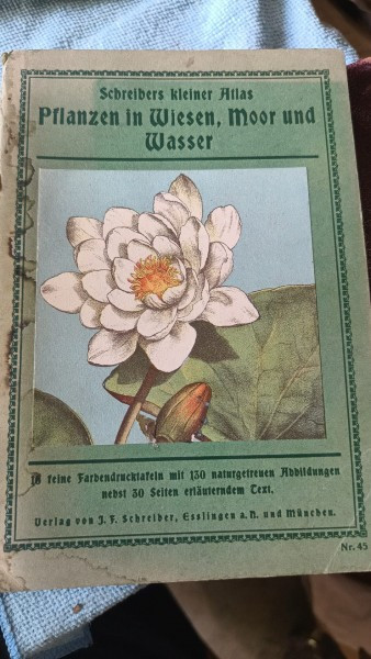 Schreibers Kleiner Atlas , Pflanzen in Wiesen , Moor und Wasser