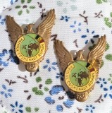 Lot 2 insigne aviatie Primul Cosmonaut Roman