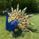 Decoratiune gradina-Paun, Jad