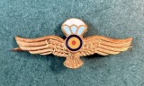 Semn de arma parasutist militar 1