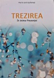 Cartea Trezirea de Pierre Lere Guillemet, Editura Solisis, 2022, 420 pagini, Coperta Brosata, Religie Spiritualitate Dezvoltare Personala
