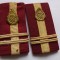 Grade Militare-locotenent-colonel-Pompier