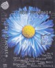 Caseta Audio ..Din Dragoste, Selectie Romaneasca, Roton, Sigilata, Originala, Muzica Pop Romaneasca, Editie 2001