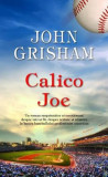 Calico Joe &ndash; John Grisham