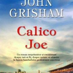 Calico Joe – John Grisham