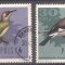 Poland 1966 Birds, used G.266