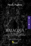 Malacqua. Patru zile la Napoli in asteptarea unui eveniment extraordinar &ndash; Nicola Pugliese