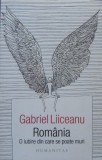 Romania. O iubire din care se poate muri (Gabriel Liiceanu)