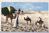 Bnk cp Algeria - Beduini in desert - necirculata, Printata