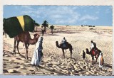 Bnk cp Algeria - Beduini in desert - necirculata, Printata