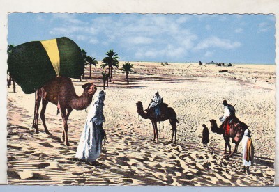 bnk cp Algeria - Beduini in desert - necirculata foto