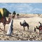bnk cp Algeria - Beduini in desert - necirculata