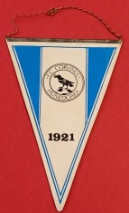 Fanion fotbal - FC &quot;CORVINUL&quot; HUNEDOARA (vezi verso)