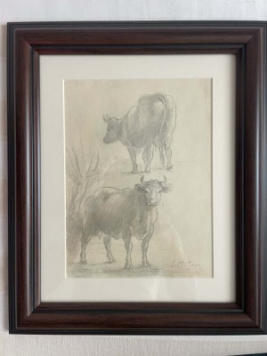 Samuel Mutzner - Studii-Bovine foto