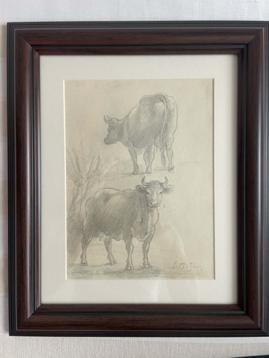 Samuel Mutzner - Studii-Bovine