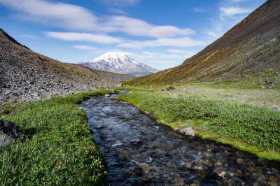 Fototapet de perete autoadeziv si lavabil Natura80, 300 x 200 cm foto