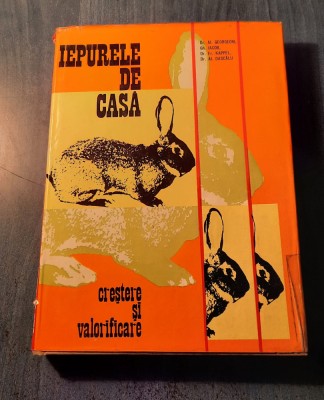 Iepurele de casa crestere si valorificare Al. Georgeoni foto