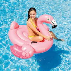 Saltea Piscina Colac Flamingo Intex 57558 foto