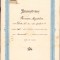HST A719 Certificat școlar 1908 Școala civilă de fete Timișoara