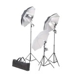 Cumpara ieftin Set lumini studio: 24 wati cu trepiede si umbrele