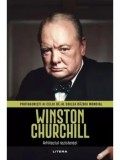 Cumpara ieftin Winston Churchill. Arhitectul rezistentei/***