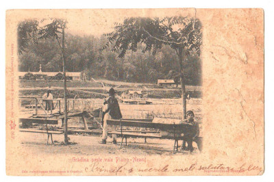 SV * Piatra Neamt * GRADINA DE PESTE VALE * Podul peste raul Bistrita * 1900 / clasica foto