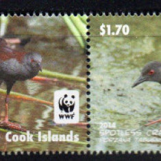 COOK Islands 2014, Fauna Pasari WWF, serie neuzata, MNH