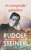 Az antropoz&oacute;fia gy&uuml;m&ouml;lcsei - Rudolf Steiner