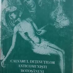 CALVARUL DETINUTILOR ANTICOMUNISTI BOTOSANENI 1997 REZISTENTA ANTICOMUNISTĂ 186P