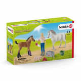 Set figurine - Vet visiting mare and foal | Schleich