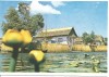 (A) carte postala-DELTA DUNARII, Necirculata, Printata