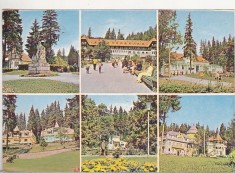 bnk cp Borsec - Vedere - circulata - marca fixa foto