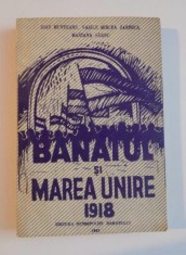 Banatul si Marea Unire : 1918 / I. Munteanu, V. Mircea Zaberca si Mariana Sarbu foto