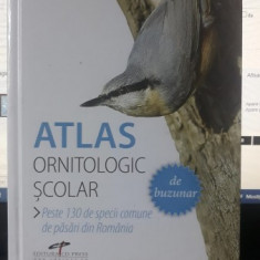 Atlas Ornitologic Scolar (de Buzunar)