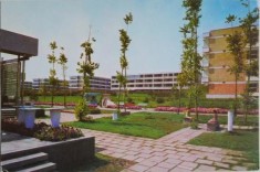 Mangalia Nord (Carte postala circulata) foto