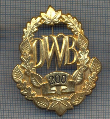 AX 225 INSIGNA -TURISM MONTAN - DRUMETIE - ,,DWB&amp;quot; 200 -FRUMOASA foto
