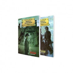 Marile speranțe. 2 volume - Paperback brosat - Charles Dickens - Ştefan