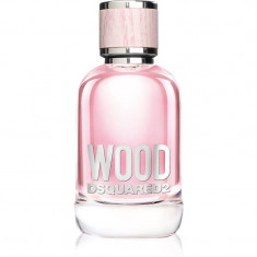 Dsquared2 Wood Pour Femme Eau de Toilette pentru femei 100 ml