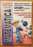 Culegere de probleme clasa a V-a de Viorica Elena Carbunaru