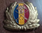 QW14 - Emblema militara / cuc - uscat - anii 1990 - piesa de colectie