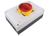Separator-&icirc;ntrerupător 3 Poli pe Panou 63A IP65