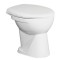 Vas WC Fayans H8232210000001, alb, evacuare verticala, montaj pe pardoseala, 36 x 46.5 x 39 cm