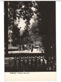 CPIB 15889 CARTE POSTALA - BUZIAS. VEDERE DIN PARC, RPR